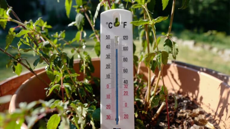 29-04-24.jpg22.jpg22