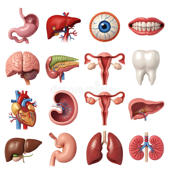 Screenshot 2026-03-31 215700