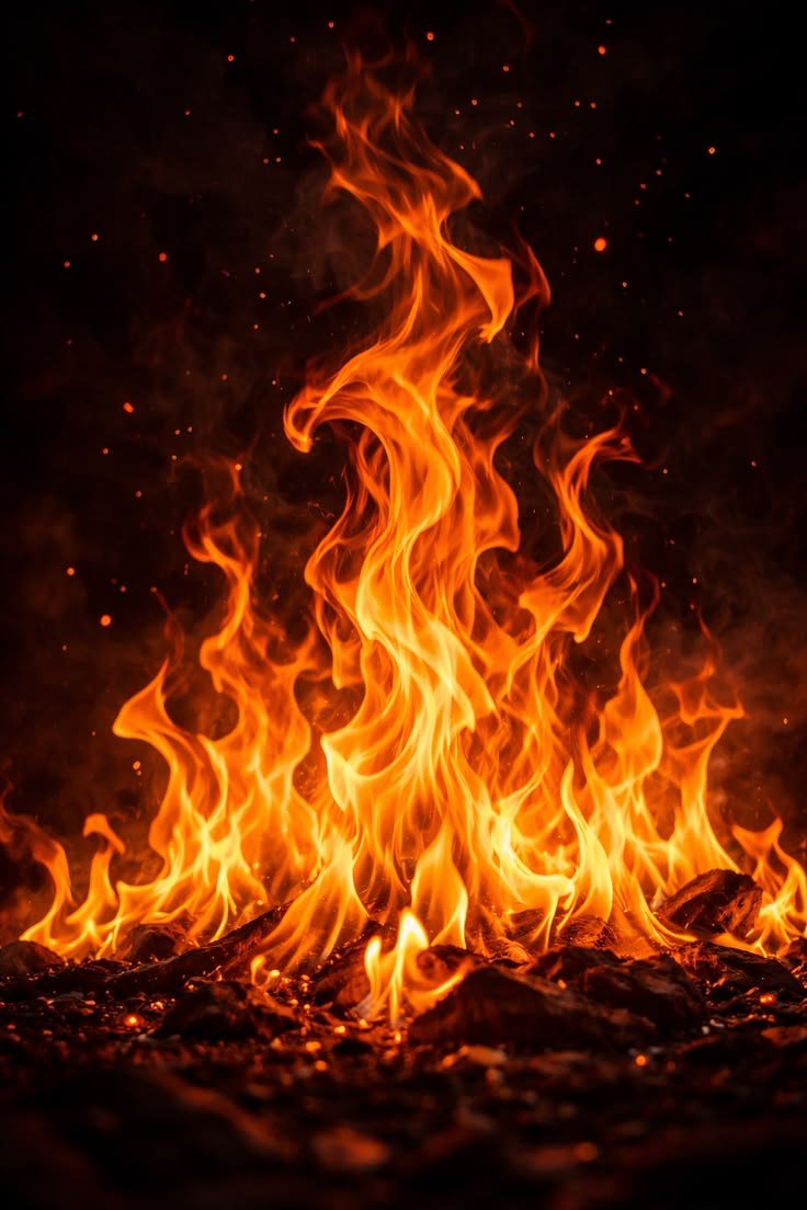 0a749c9dacc38fad80b015af710b449a