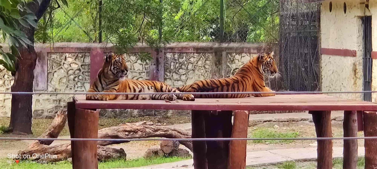 siddharth-garden-and-zoo-samarthnagar-aurangabad-a