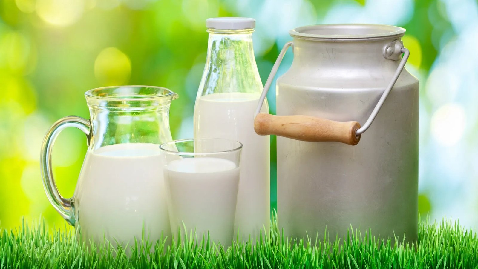 benefits-of-whole-milk-benefits-of-drinking-whole